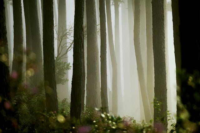 Comment choisir le meilleur humidificateur pour votre maison